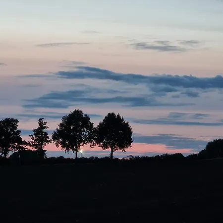 Daire Giese Kuestenglueck