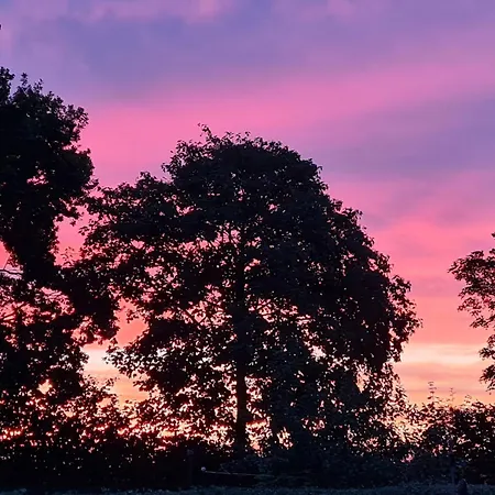 Giese Kuestenglueck Hasselberg (Schleswig-Holstein)