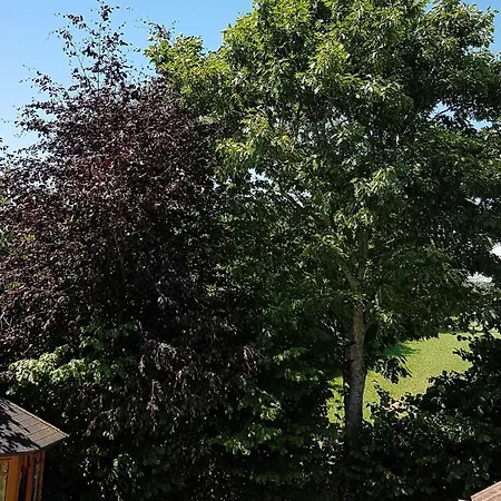 Giese Kuestenglueck * Hasselberg (Schleswig-Holstein)