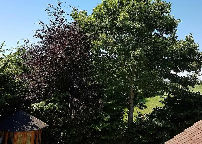 Giese Kuestenglueck * Hasselberg (Schleswig-Holstein)